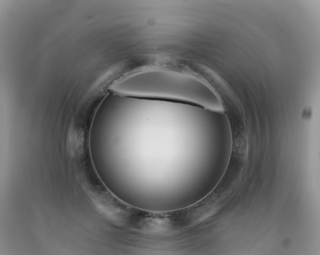 X0000092080552200709191227
