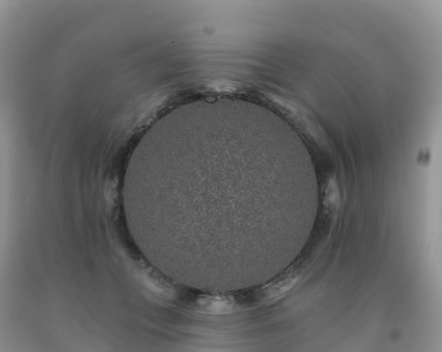 X0000092080559200709191227