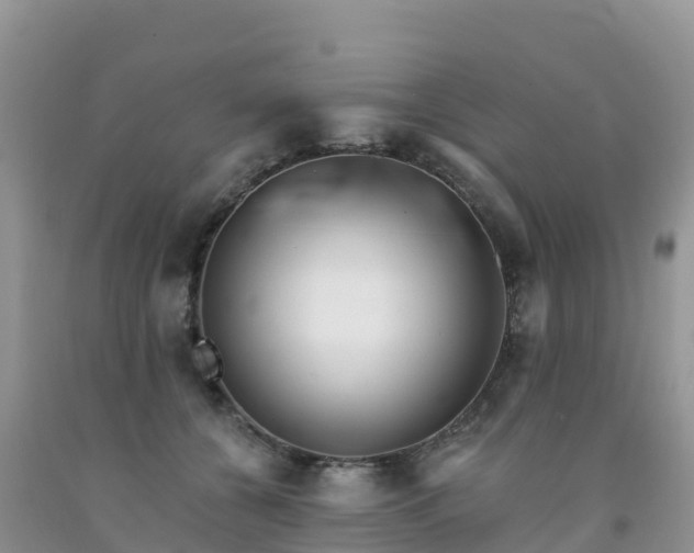 X0000092080560200709191227
