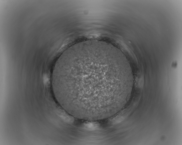 X0000092080561200709191227