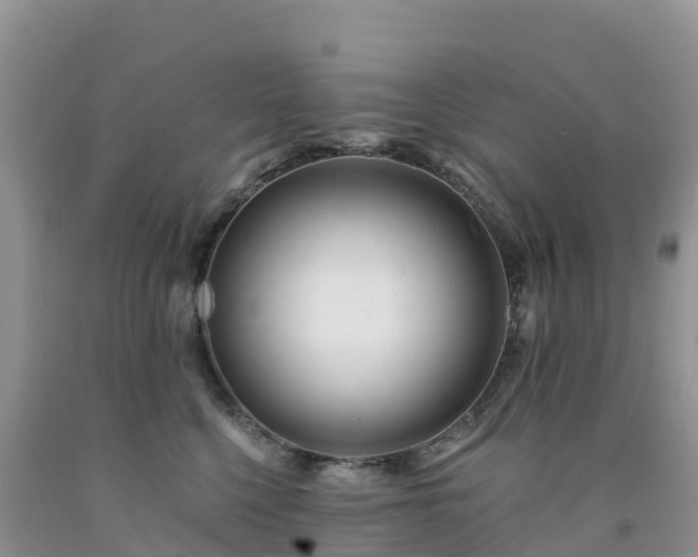X0000092080568200709191227