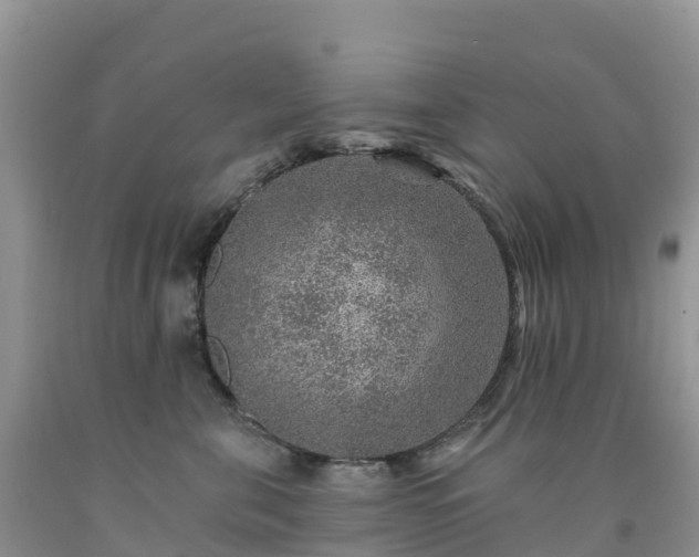 X0000092080571200709191227