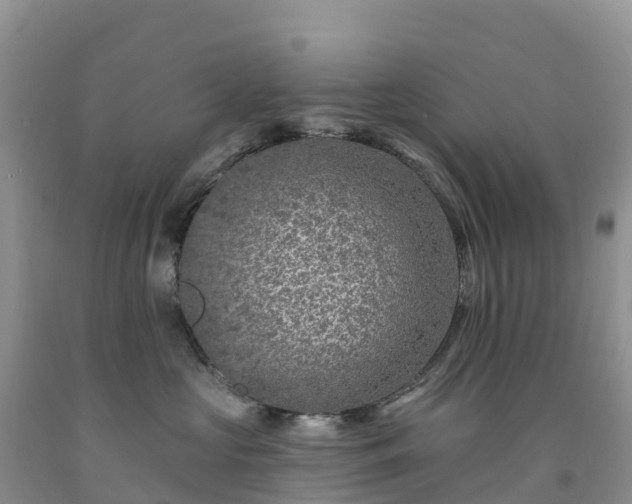 X0000092080573200709191227