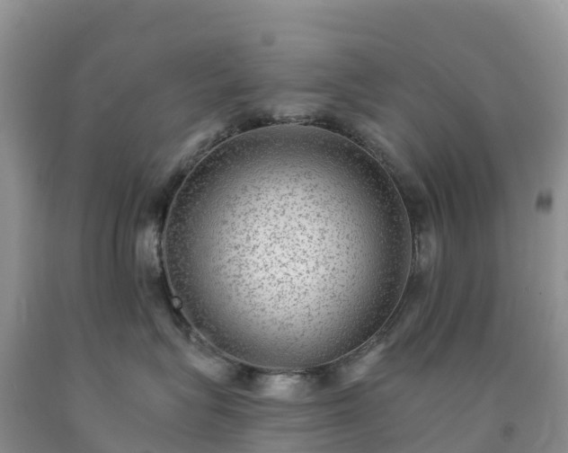 X0000092080575200709191227
