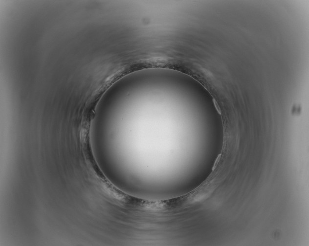 X0000092080576200709191227