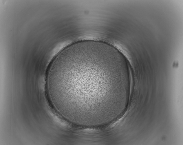 X0000092080578200709191227