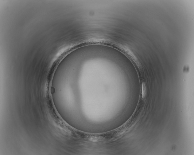 X0000092080579200709191227