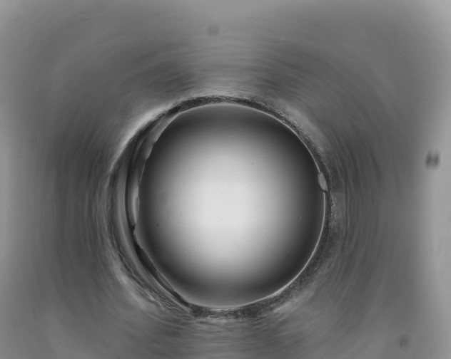 X0000092080580200709191227