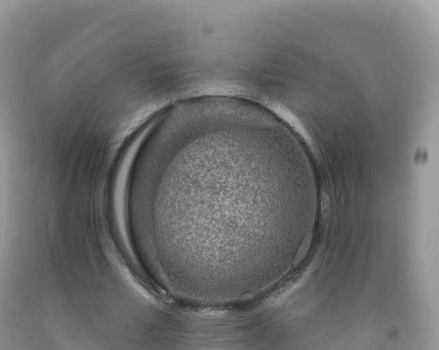 X0000092080581200709191226