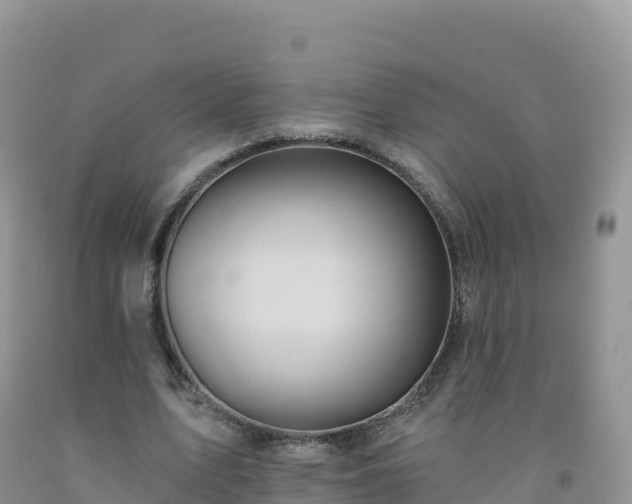 X0000092080583200709191226