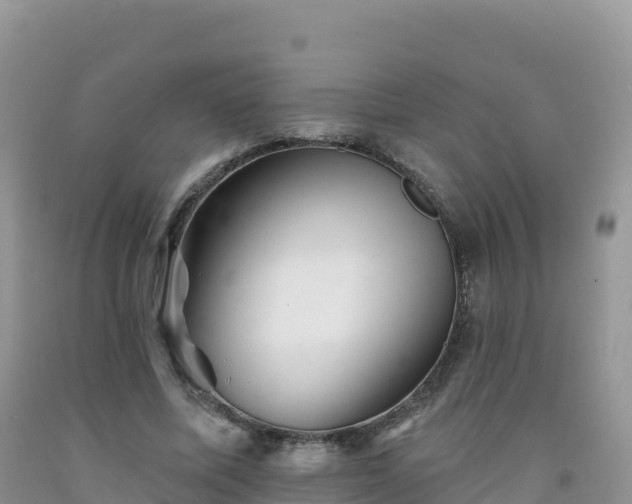 X0000092080587200709191226
