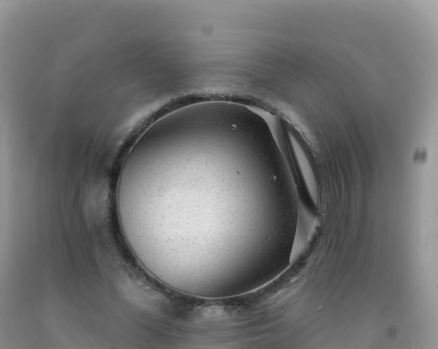 X0000092080588200709191226