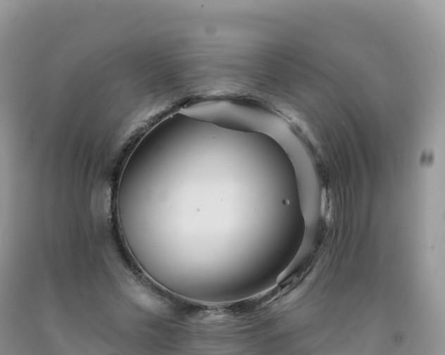 X0000092080589200709191226