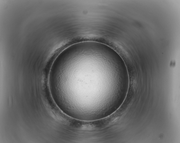 X0000092080591200709191226