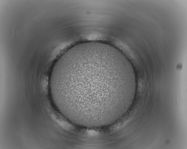 X0000092080592200709191226