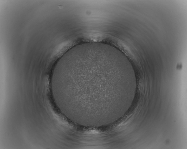 X0000092080594200709191226