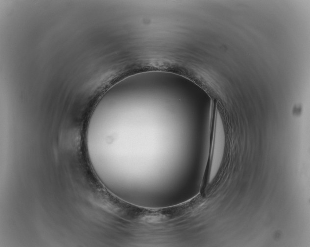 X0000092080595200709191226