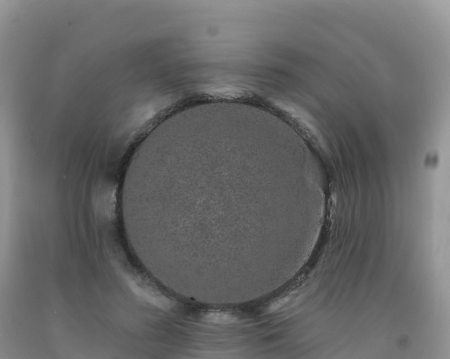 X0000092080596200709191226
