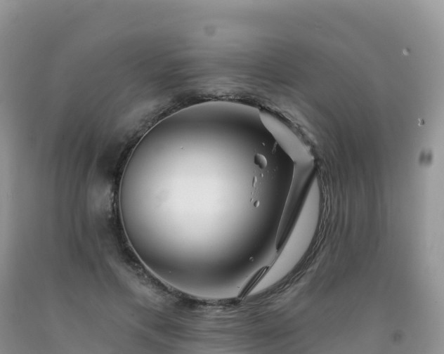 X0000092080597200709191226