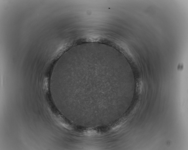 X0000092080598200709191226