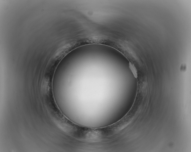 X0000092080599200709191226