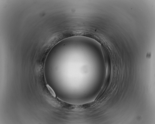 X0000092080601200709191226
