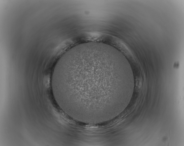 X0000092080602200709191226