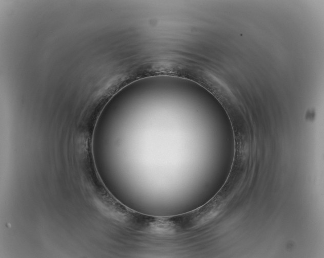 X0000092080603200709191226