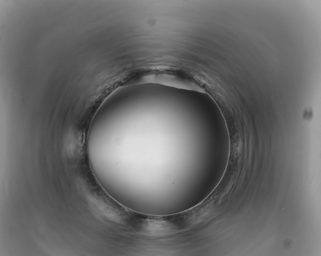 X0000092080605200709191226