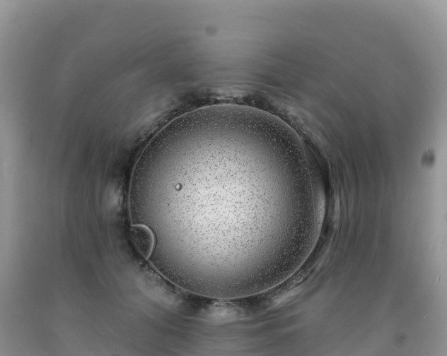 X0000092080608200709191226