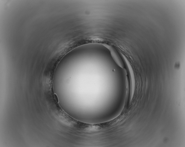X0000092080609200709191226