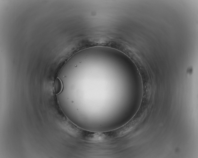 X0000092080612200709191226