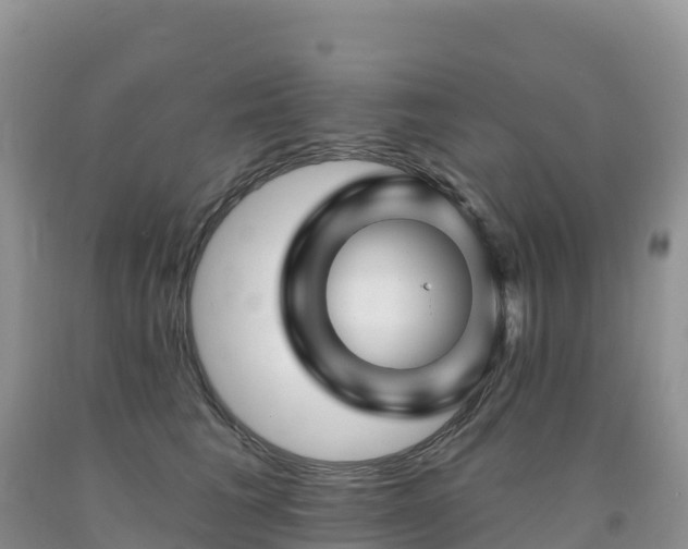 X0000092080613200709191226