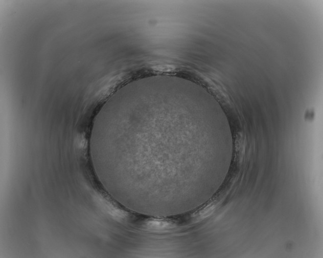 X0000092080614200709191226