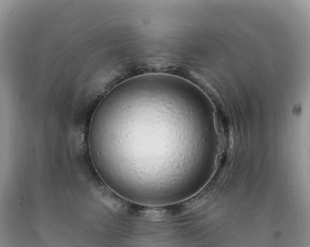 X0000092080615200709191226