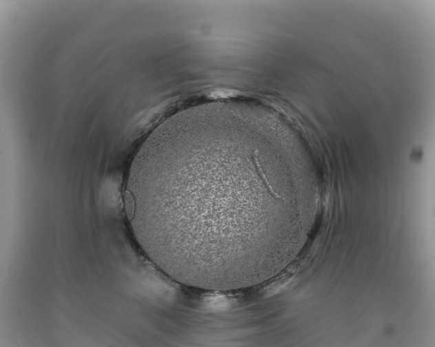 X0000092080616200709191226