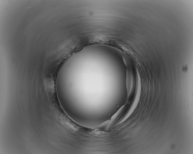 X0000092080617200709191226