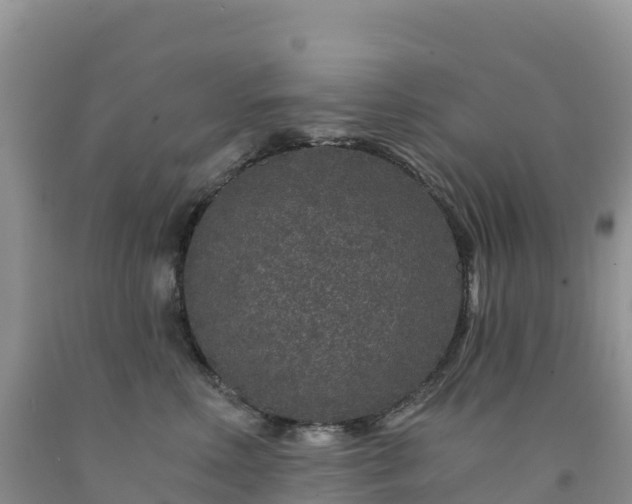 X0000092080618200709191226