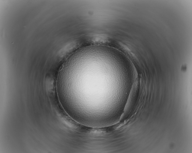 X0000092080619200709191226