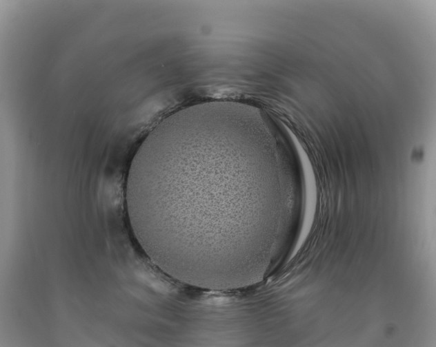X0000092080620200709191226