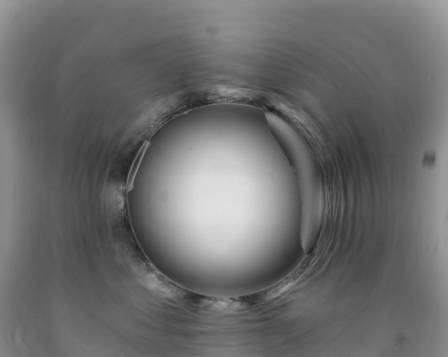 X0000092080621200709191226