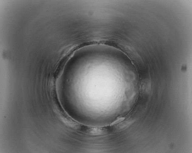 X0000092080623200709191226