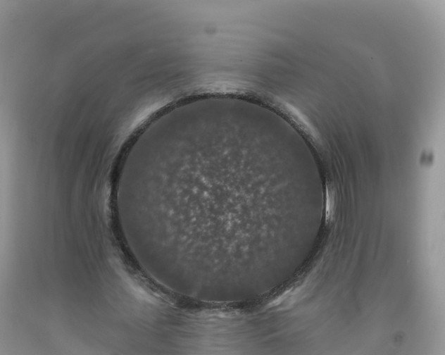 X0000092080627200709191225