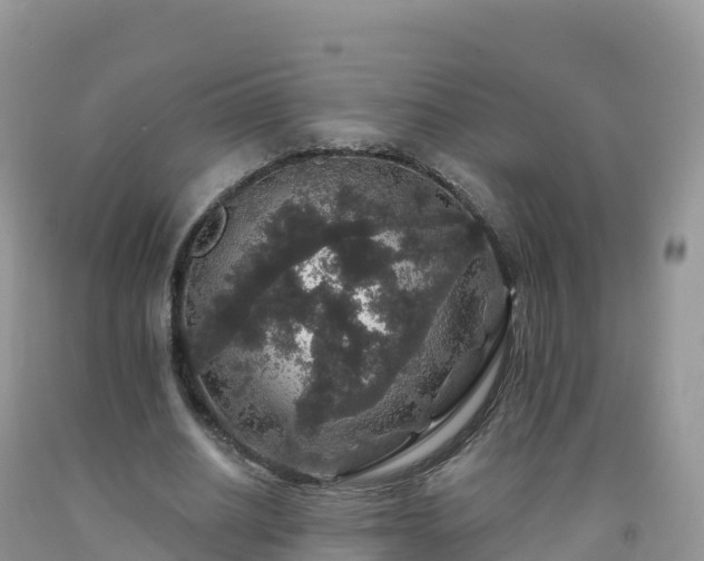 X0000092080630200709191225