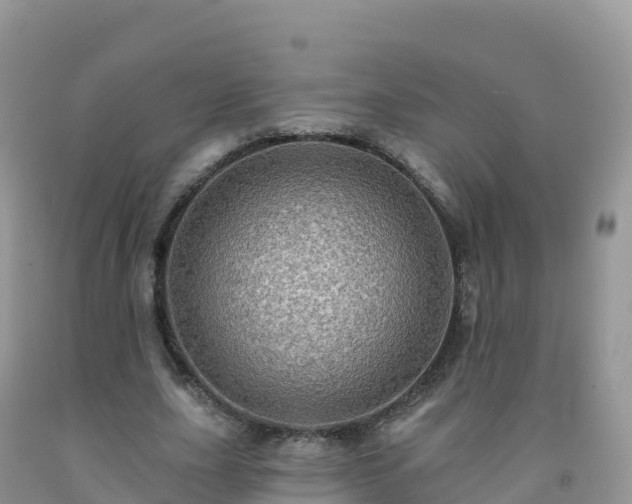 X0000092080631200709191225