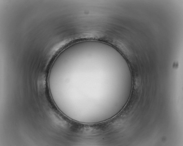 X0000092080632200709191225