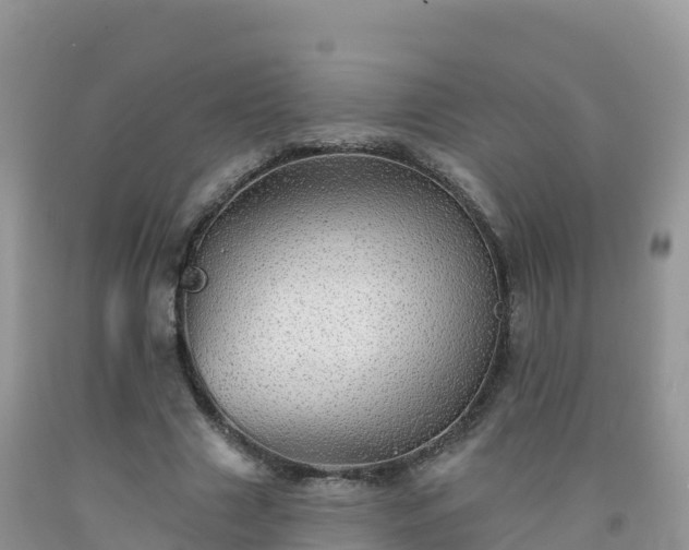 X0000092080633200709191225