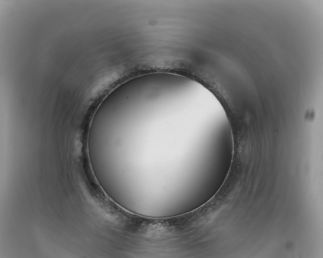 X0000092080635200709191225