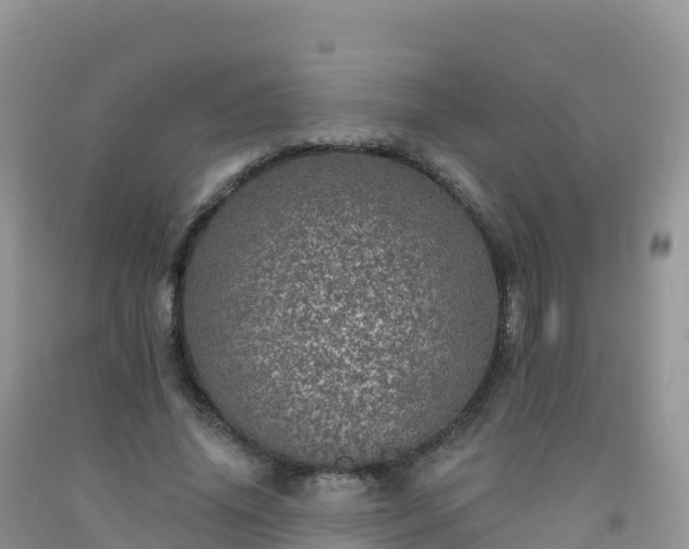 X0000092080636200709191225