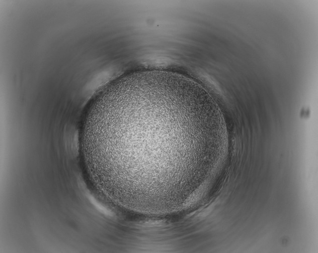 X0000092080638200709191226